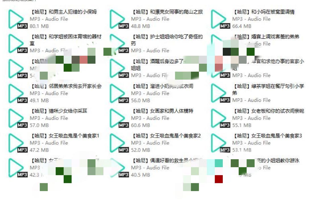 Miss哈尼音声21A-1G