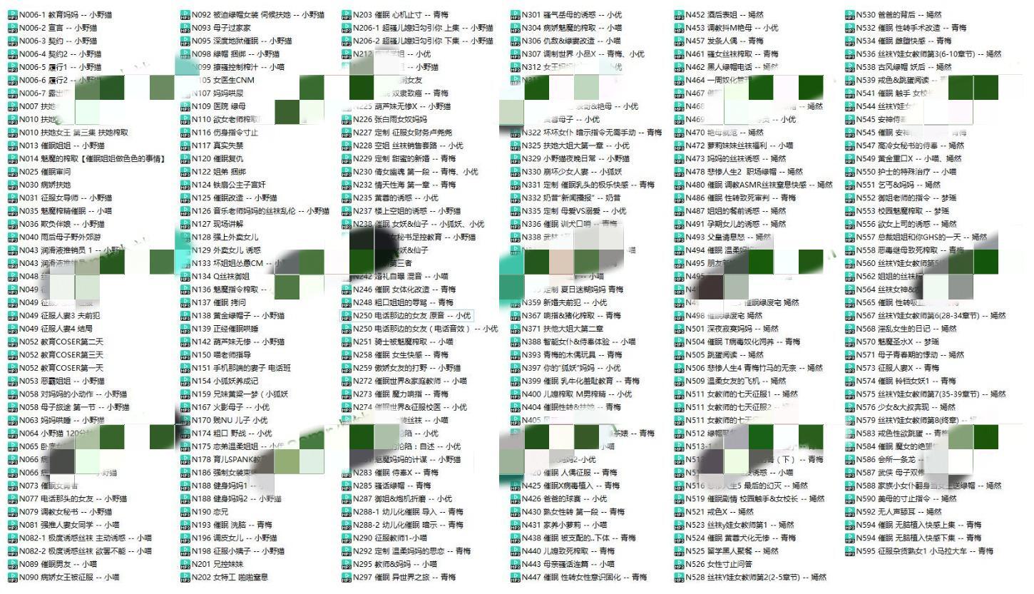 小野猫N系列合集262A-22.2G