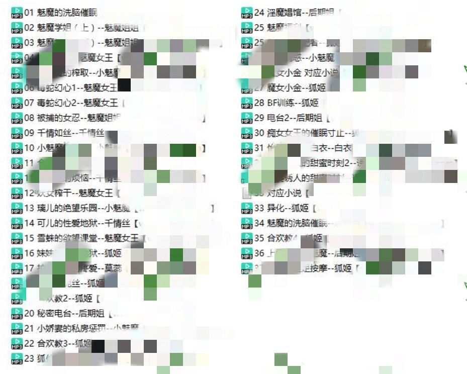 阿木木音声第一季