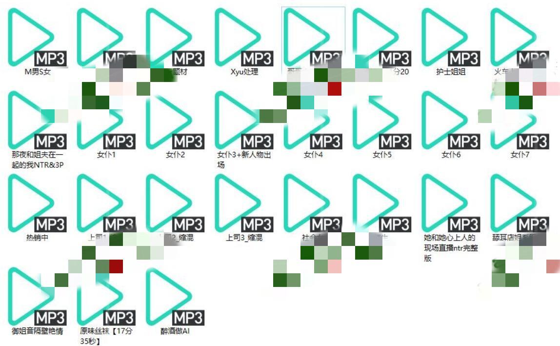 焱绯音声新增27部-738M