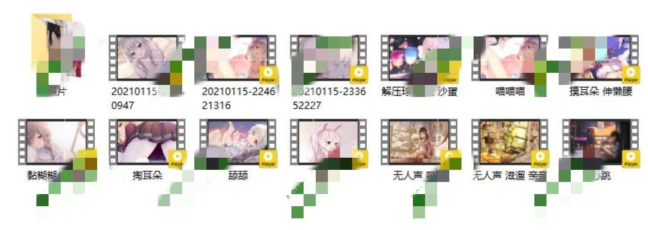 幼玉喵舰长音频13部+22p