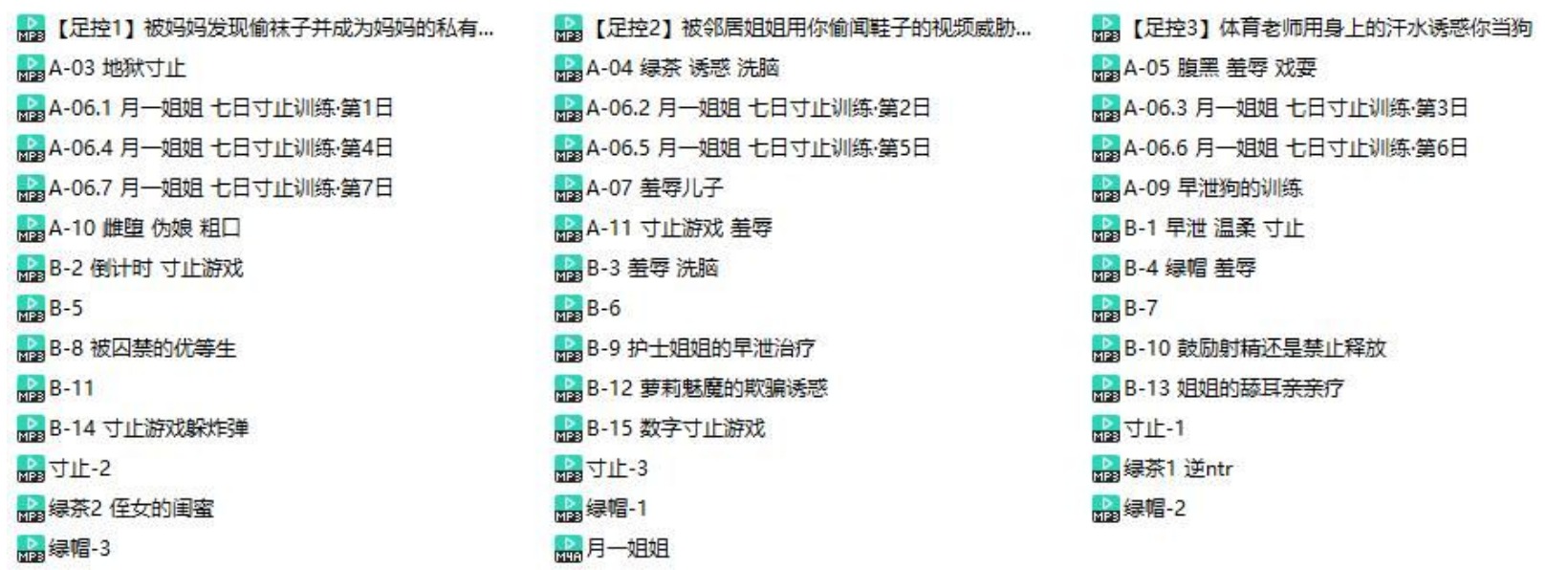月一姐姐中文音声合集41部