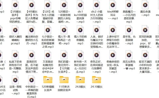 B站五月织姬ctsu舰长中文音声音频全集