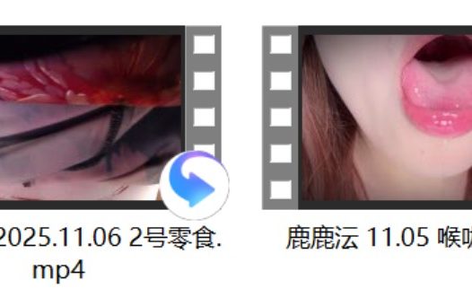 婉儿别闹2025.11.06 2V+[张爱玲ASMR] +[柯想睡觉觉啦] +亭子ww 毛衣