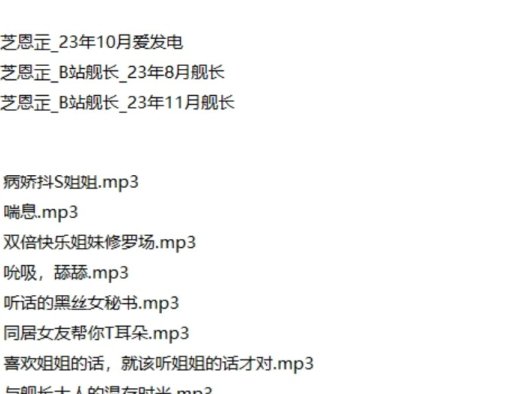 芝恩㱏_B站舰长合集